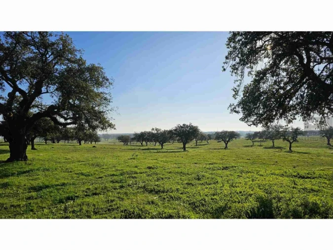 Quinta para Venda em Castro Verde e Casével Foto 17