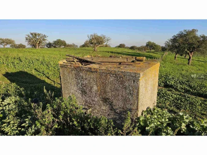 Quinta para Venda em Castro Verde e Casével Foto 19