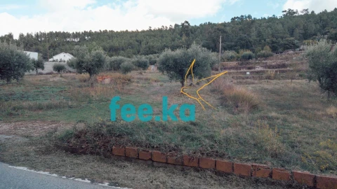 Terreno para Venda em Salgueiro do Campo