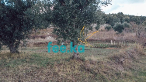 Terreno para Venda em Salgueiro do Campo