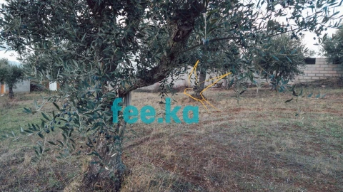 Terreno para Venda em Salgueiro do Campo