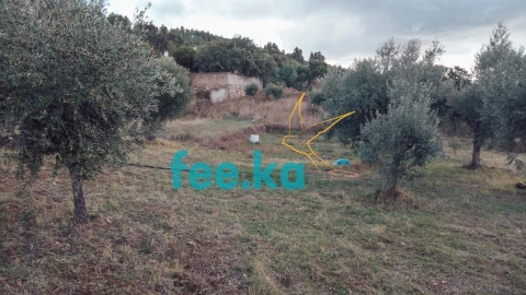 Terreno para Venda em Salgueiro do Campo