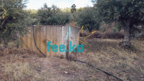 Terreno para Venda em Salgueiro do Campo