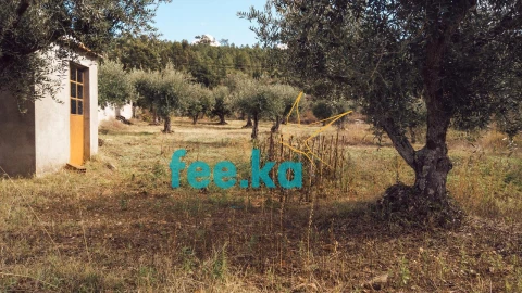 Terreno para Venda em Salgueiro do Campo