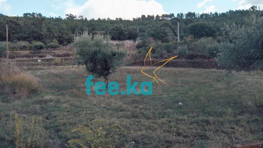 Terreno para Venda em Salgueiro do Campo Foto 2