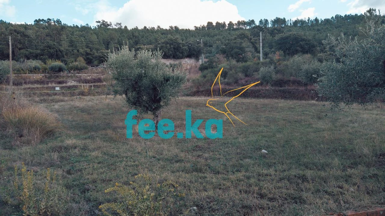 Terreno para Venda em Salgueiro do Campo Foto 2