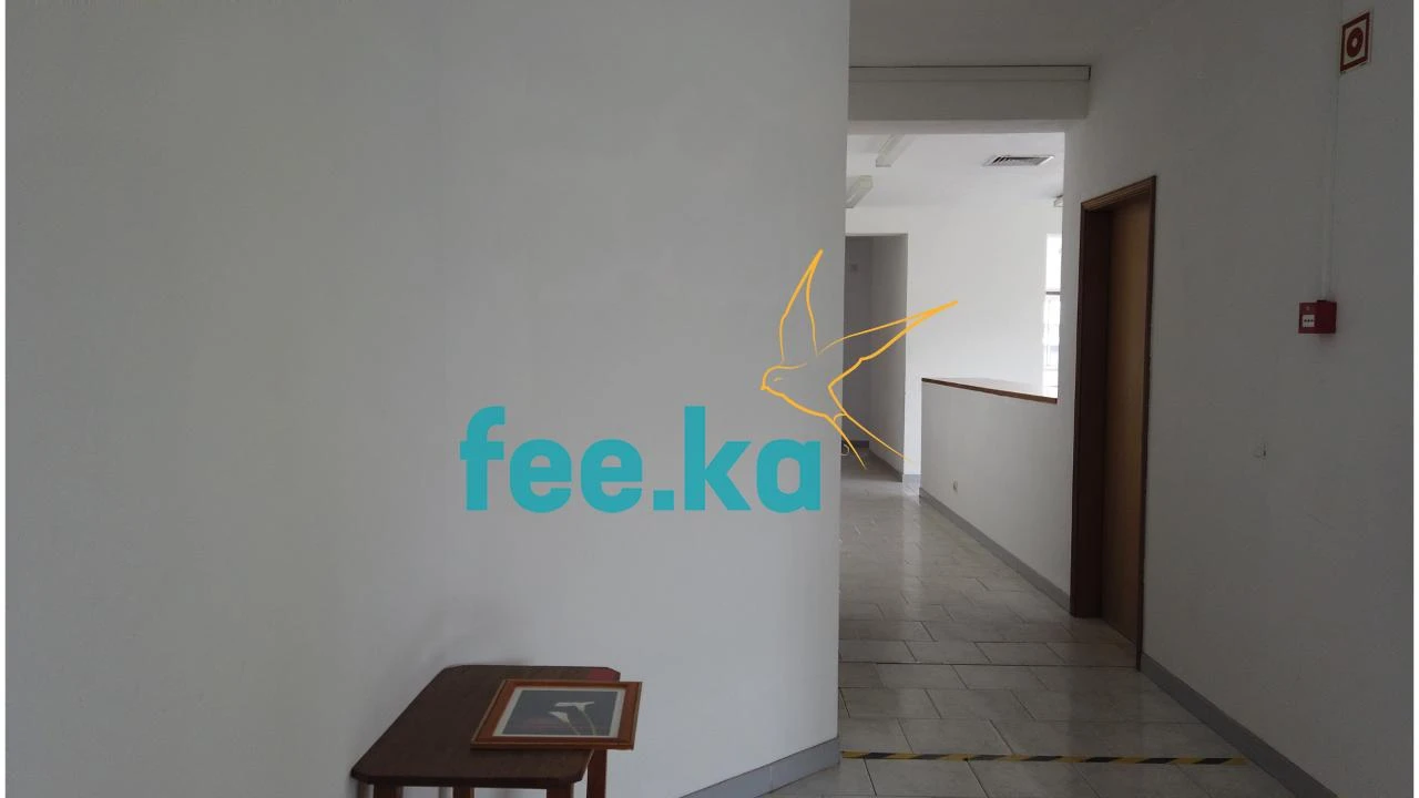 Escritório para Arrendamento em Castelo Branco Foto 5