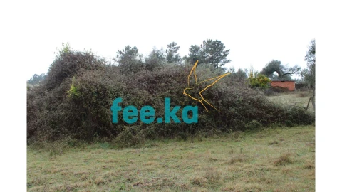 Terreno para Venda em Castelo Branco