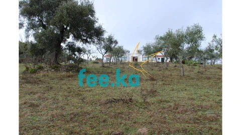 Terreno para Venda em Castelo Branco