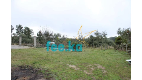 Terreno para Venda em Castelo Branco
