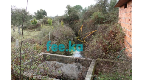 Terreno para Venda em Castelo Branco