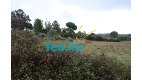 Terreno para Venda em Castelo Branco