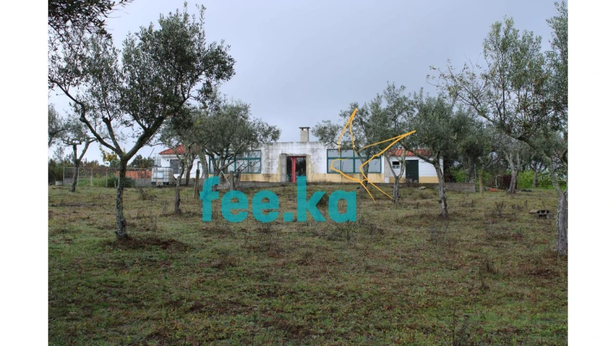 Terreno para Venda em Castelo Branco Foto 2