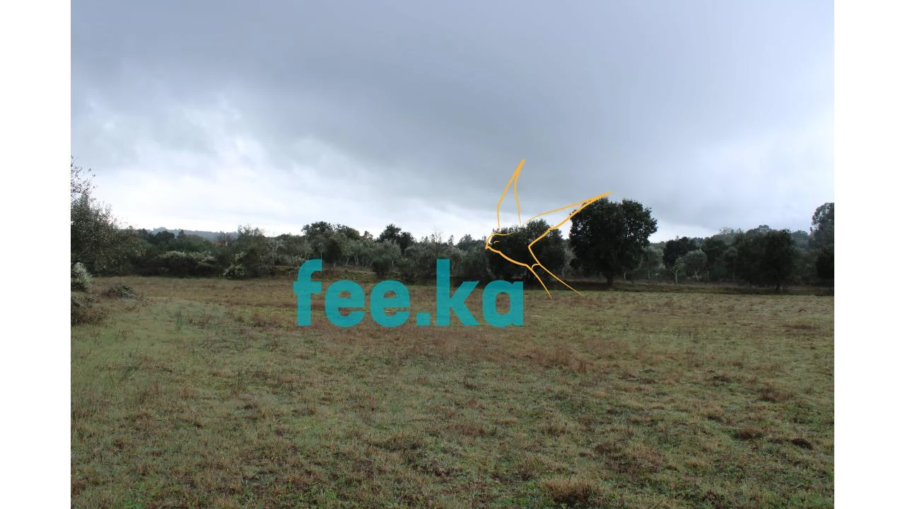 Terreno para Venda em Castelo Branco Foto 4
