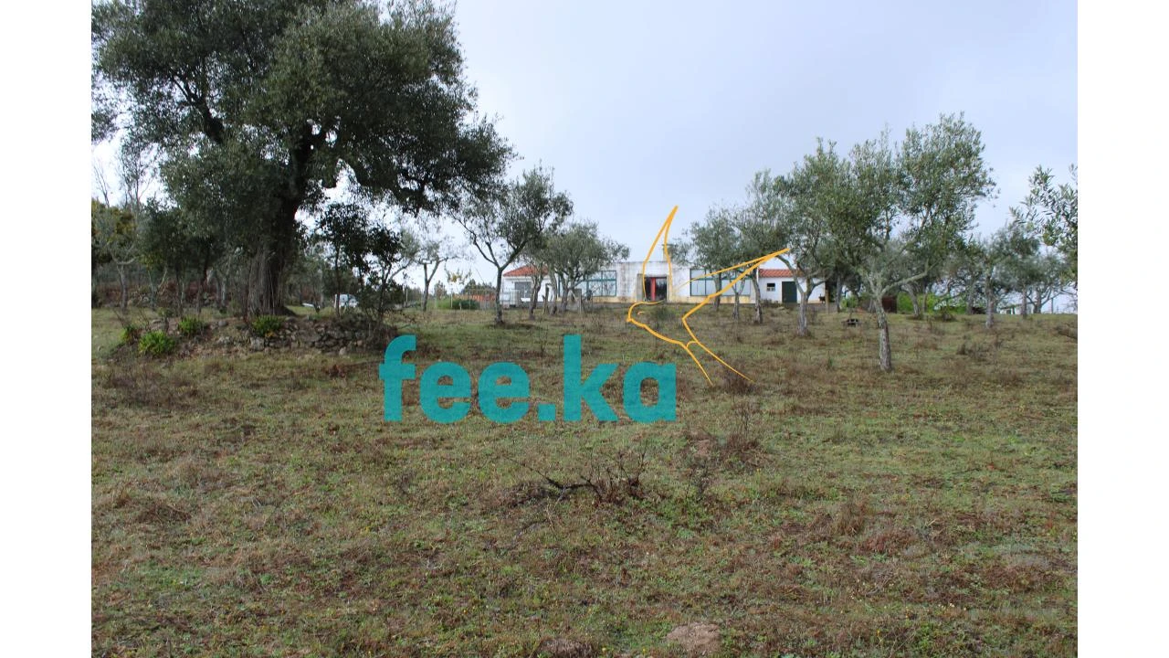 Terreno para Venda em Castelo Branco Foto 1