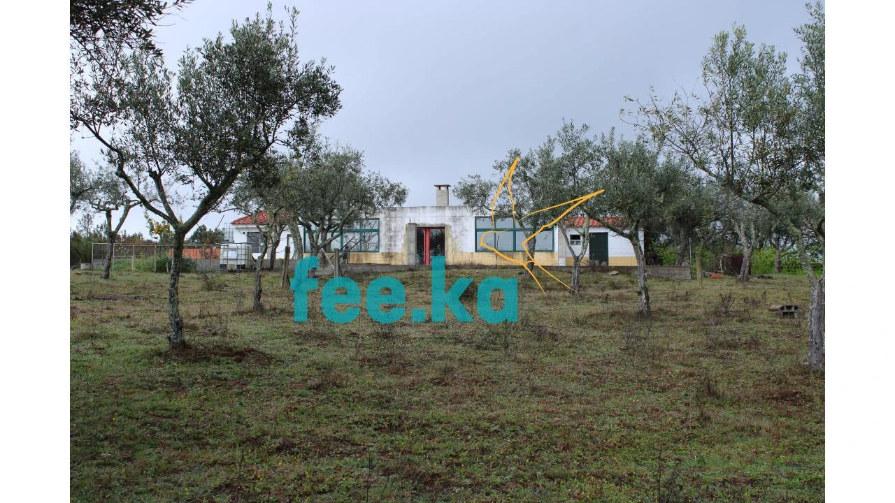 Terreno para Venda em Castelo Branco Foto 2
