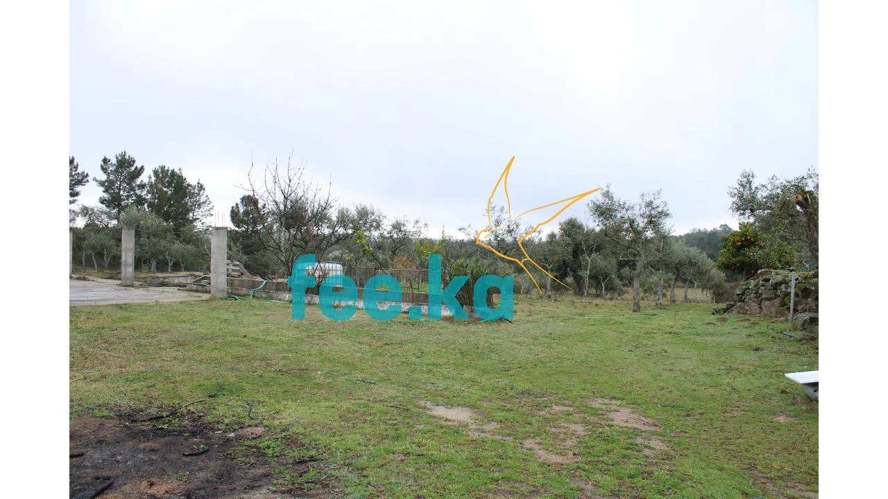 Terreno para Venda em Castelo Branco Foto 3