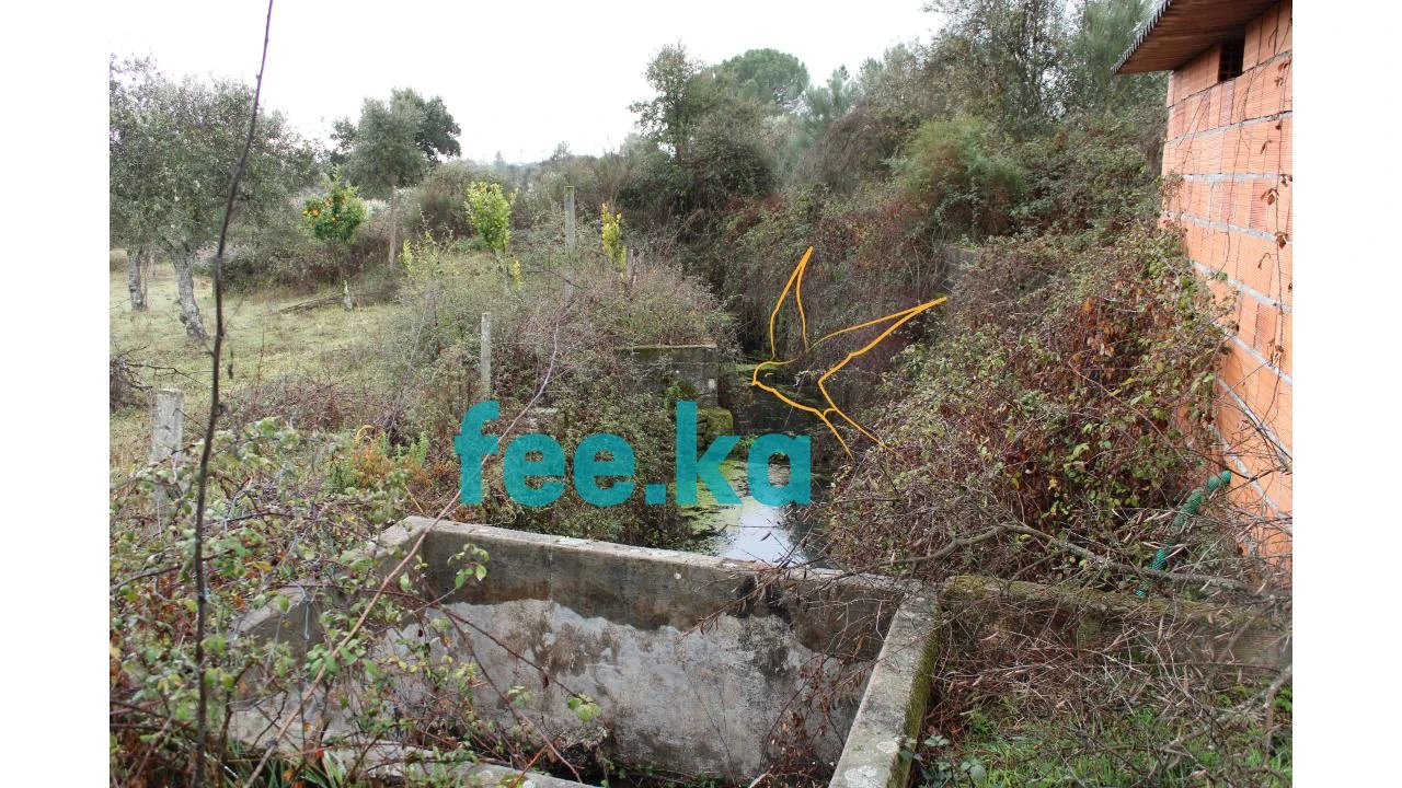 Terreno para Venda em Castelo Branco Foto 8