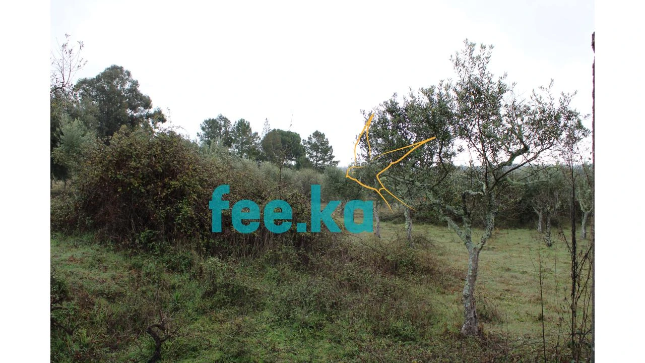 Terreno para Venda em Castelo Branco Foto 11