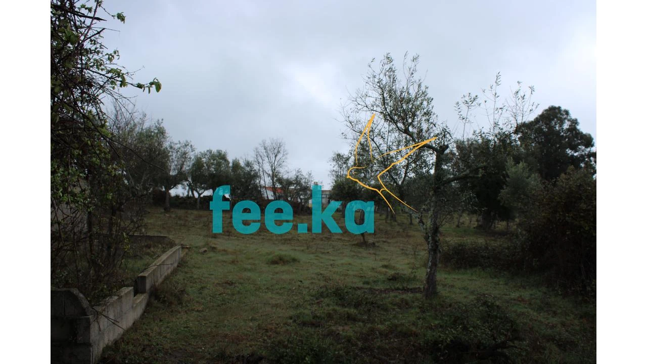 Terreno para Venda em Castelo Branco Foto 9
