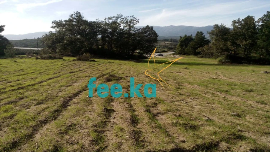 Terreno para Venda em Peraboa Foto 3