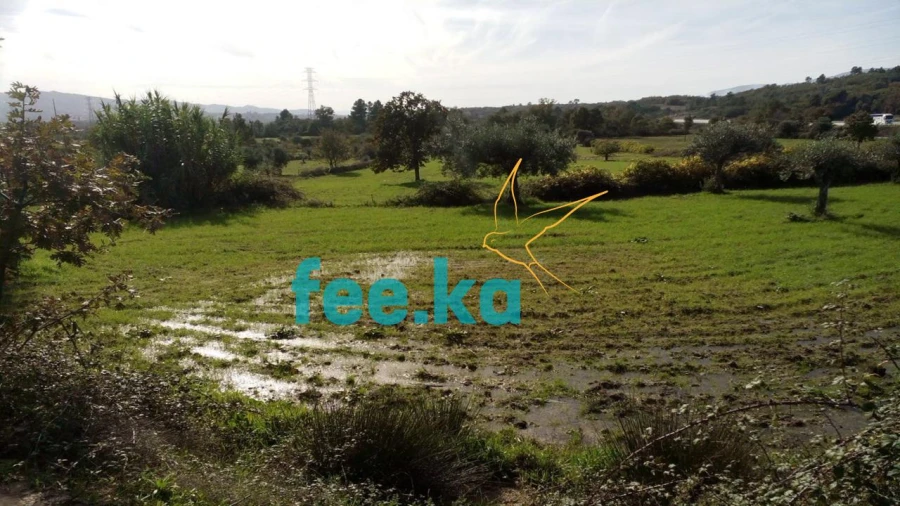 Terreno para Venda em Peraboa Foto 6