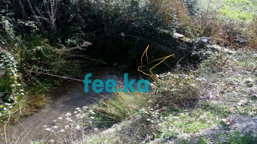 Terreno para Venda em Peraboa Foto 8