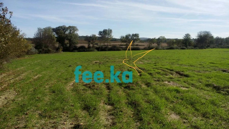 Terreno para Venda em Peraboa Foto 13