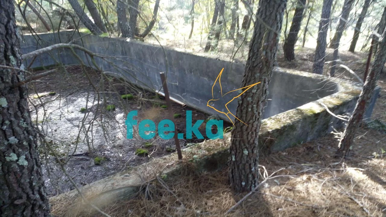 Terreno para Venda em Peraboa Foto 14