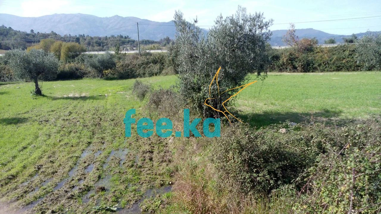 Terreno para Venda em Peraboa Foto 4