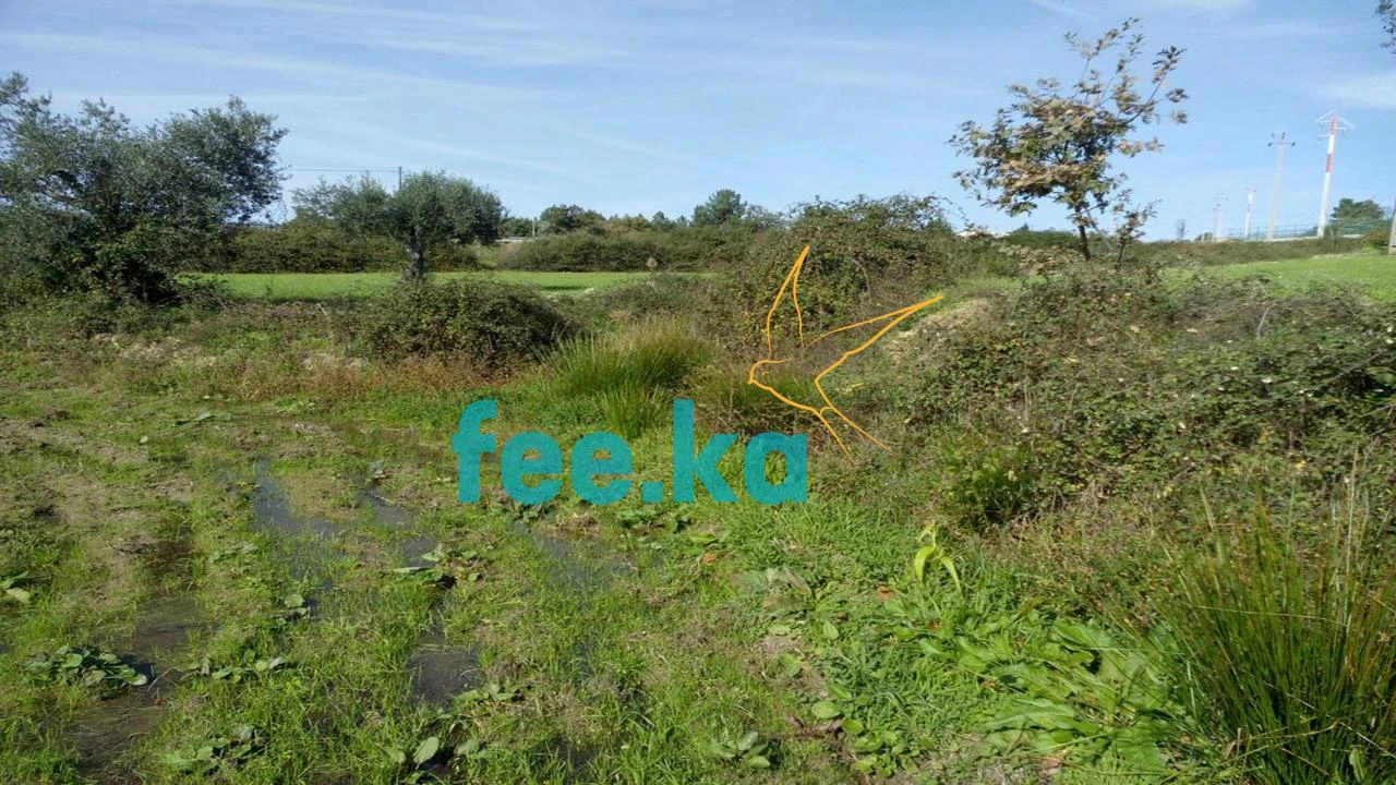 Terreno para Venda em Peraboa Foto 7