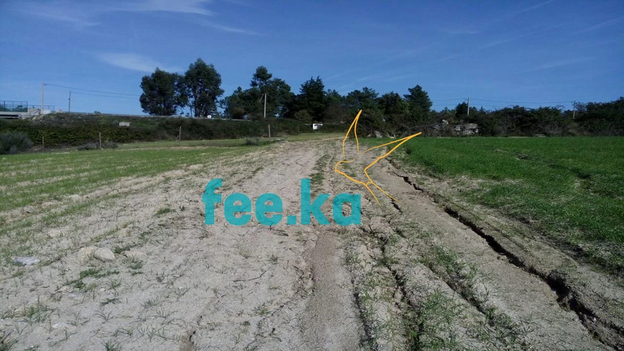 Terreno para Venda em Peraboa Foto 10