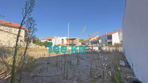 Terreno para Venda em Castelo Branco