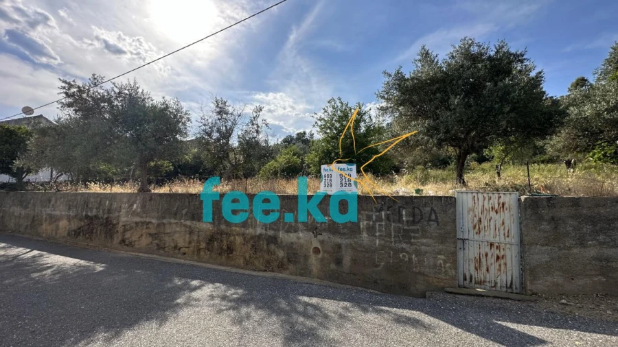 Terreno para Venda em Monfortinho e Salvaterra do Extremo Foto 1