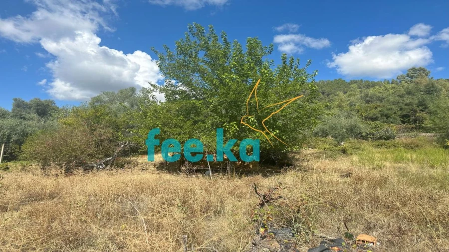 Terreno para Venda em Monfortinho e Salvaterra do Extremo Foto 3