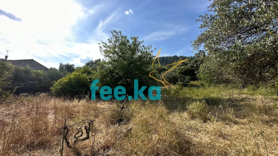 Terreno para Venda em Monfortinho e Salvaterra do Extremo Foto 11