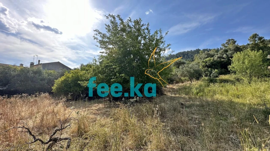 Terreno para Venda em Monfortinho e Salvaterra do Extremo Foto 14