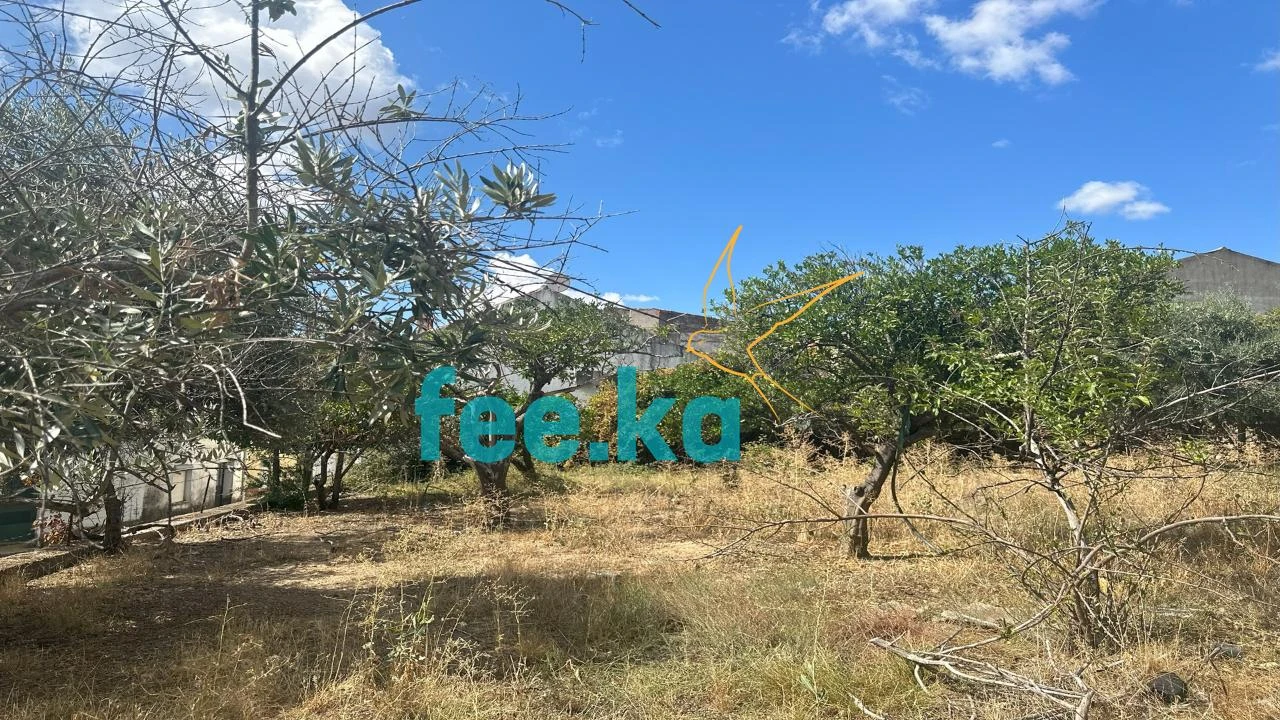 Terreno para Venda em Monfortinho e Salvaterra do Extremo Foto 5