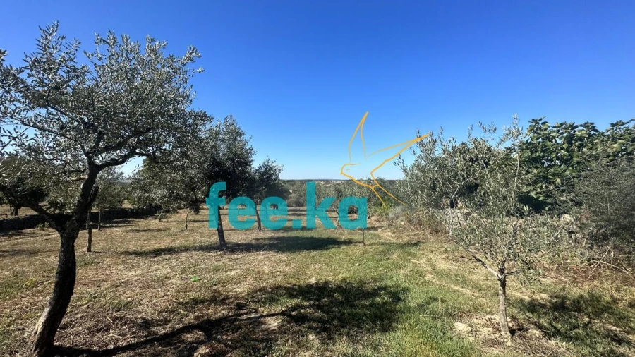 Quinta para Venda em Monfortinho e Salvaterra do Extremo Foto 7