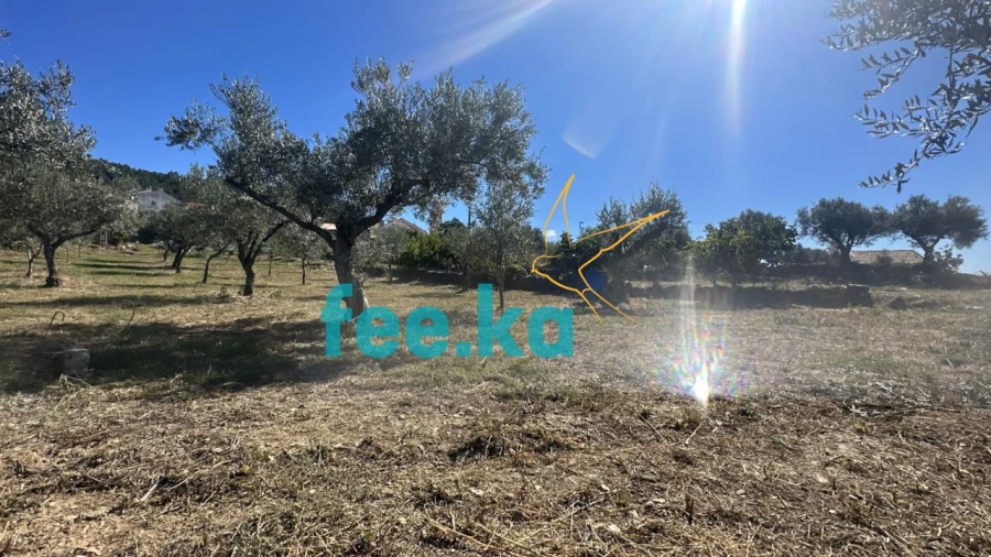 Quinta para Venda em Monfortinho e Salvaterra do Extremo Foto 10