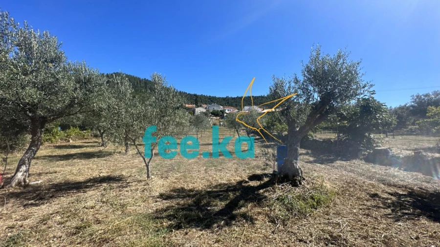 Quinta para Venda em Monfortinho e Salvaterra do Extremo Foto 12