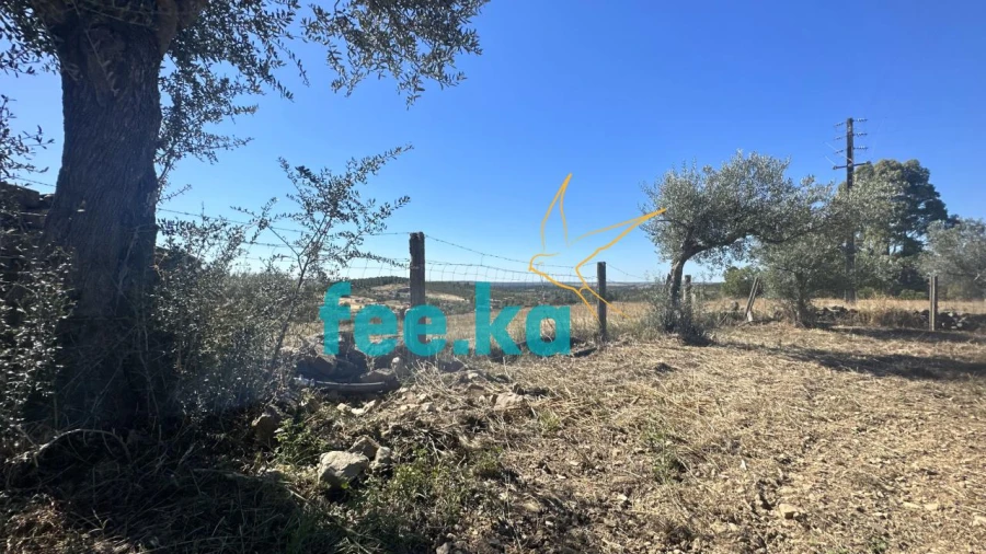 Quinta para Venda em Monfortinho e Salvaterra do Extremo Foto 20