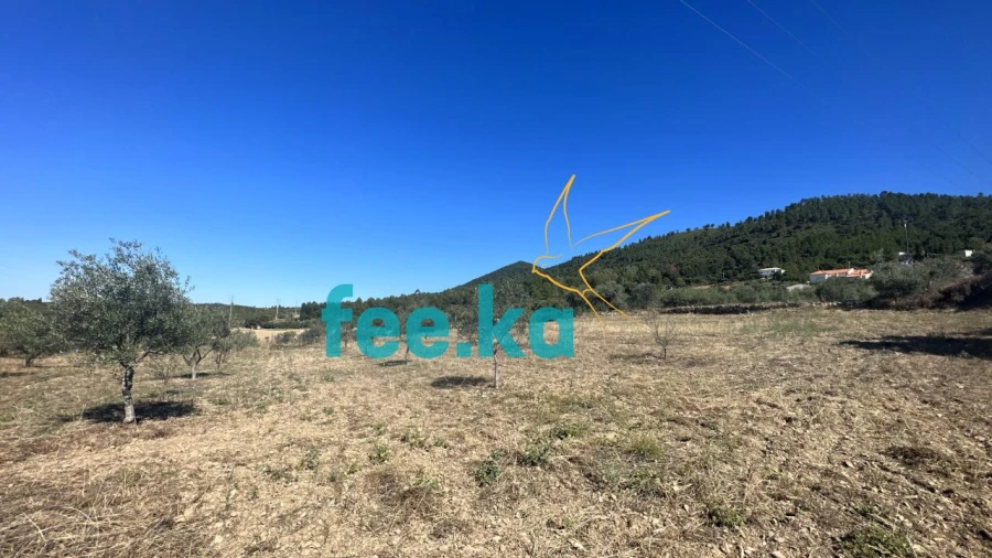 Quinta para Venda em Monfortinho e Salvaterra do Extremo Foto 21