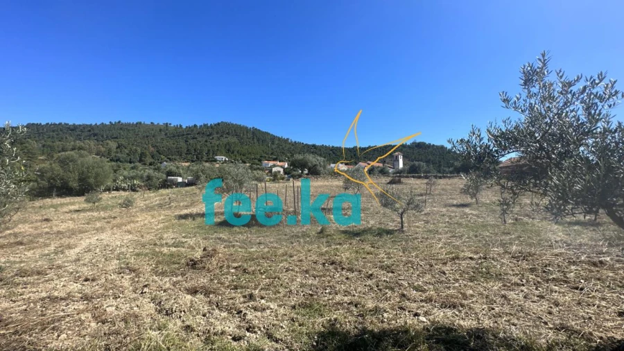 Quinta para Venda em Monfortinho e Salvaterra do Extremo Foto 26