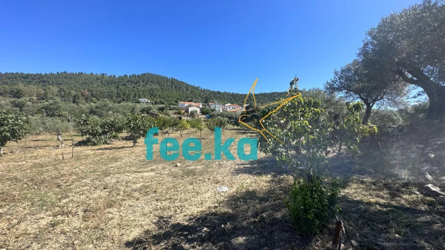 Quinta para Venda em Monfortinho e Salvaterra do Extremo Foto 29