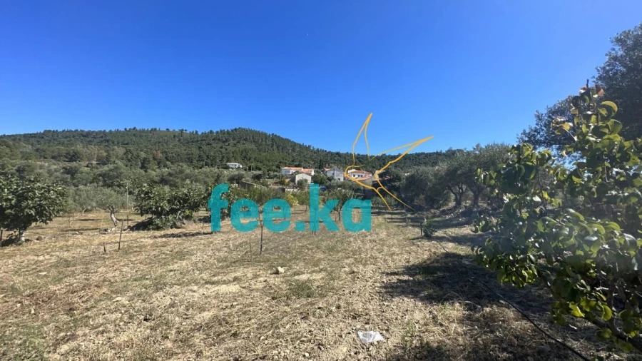 Quinta para Venda em Monfortinho e Salvaterra do Extremo Foto 30