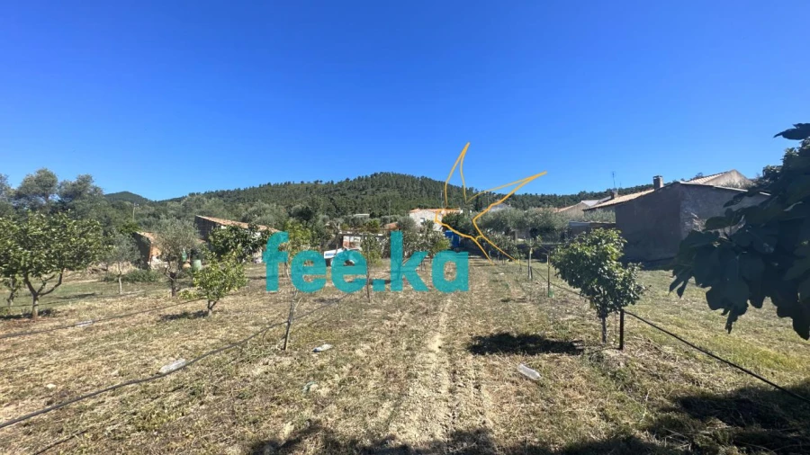 Quinta para Venda em Monfortinho e Salvaterra do Extremo Foto 33