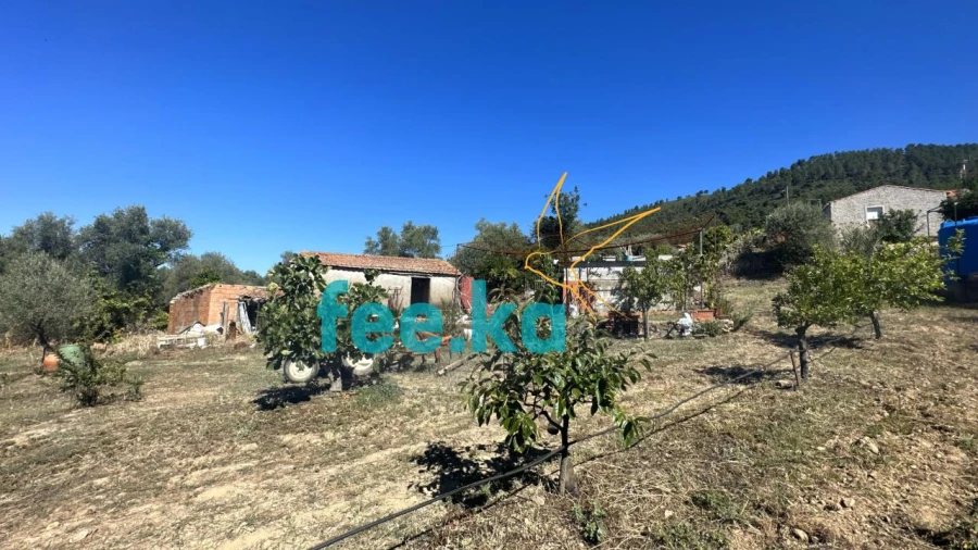 Quinta para Venda em Monfortinho e Salvaterra do Extremo Foto 2