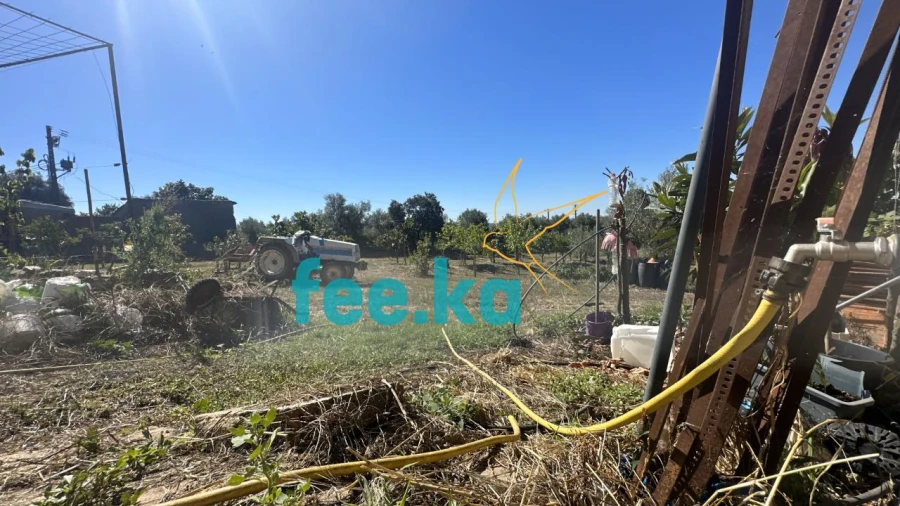 Quinta para Venda em Monfortinho e Salvaterra do Extremo Foto 35