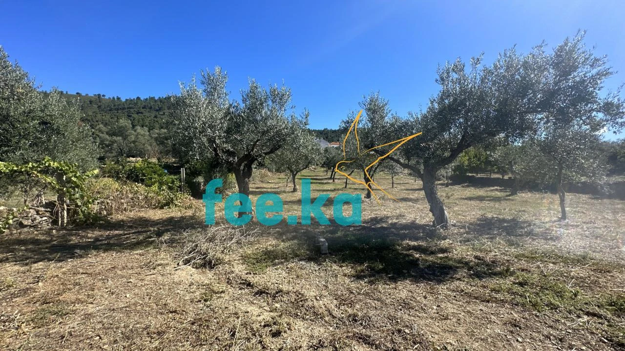 Quinta para Venda em Monfortinho e Salvaterra do Extremo Foto 9